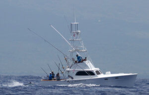 Grander Marlin: Benchmark