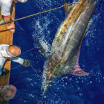 Sportfishing FAQ 5