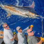 Grander Marlin Sportfishing 6
