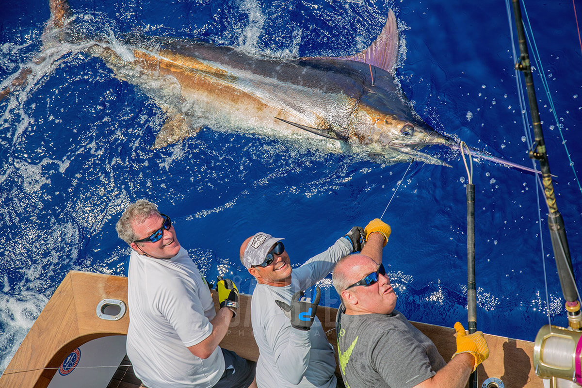 Grander Marlin Sportfishing - Kailua Kona, Hawaii