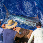 Sportfishing FAQ 2