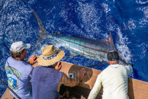 Sportfishing FAQ 2