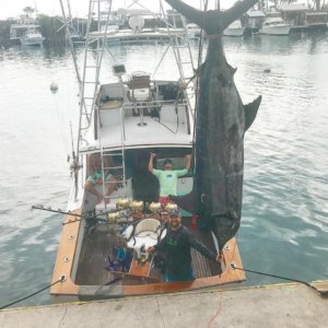 Kona fishing