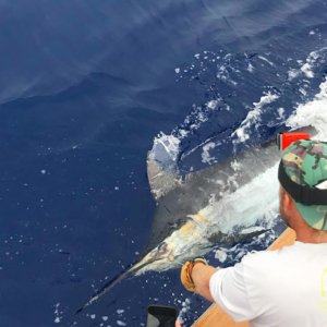 Kona Hawaii fishing