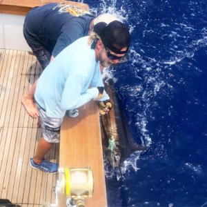 Kona Fishing Charters Grander Marlin