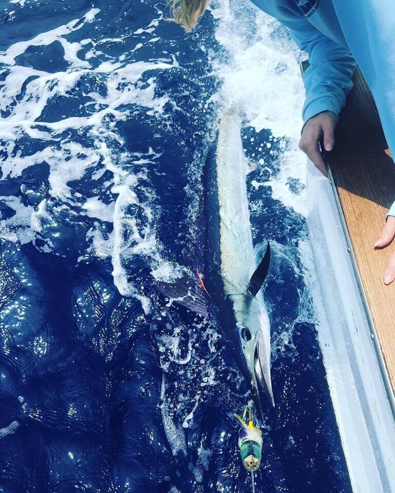 kona fishing charter