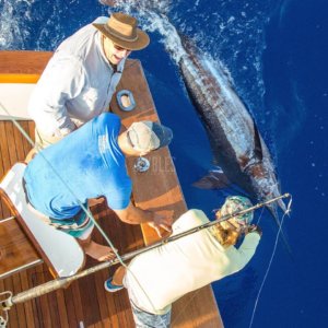 Kona Hawaii Fishing Report