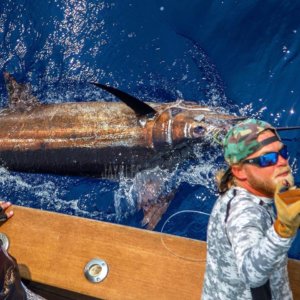 Grander Marlin Kona Fishing Charter July 25th Blue marlin