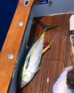 Kona Hawaii fishing charters