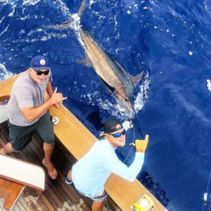 Kona Fishing Charters Grander Marlin