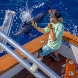Grander Marlin Kona Fishing Charter