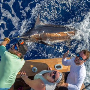 Grander marlin Kona Fishing Charter
