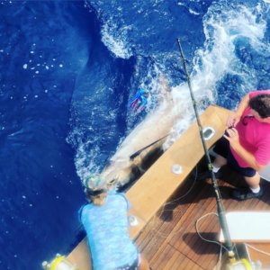 Charter Fishing Kona Hawaii