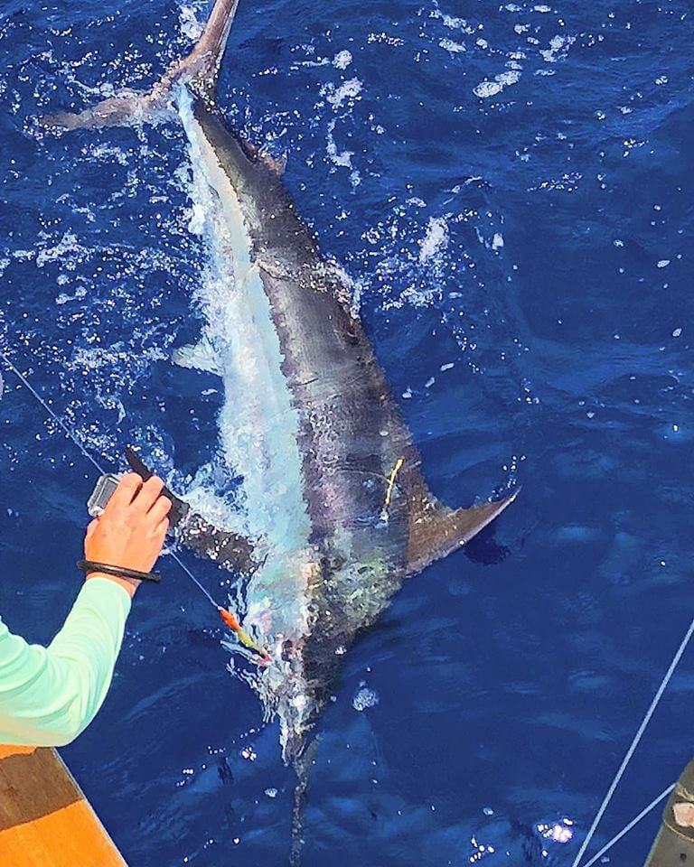 kona charter fishing