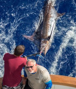 Grander Marlin Sportfishing Charters