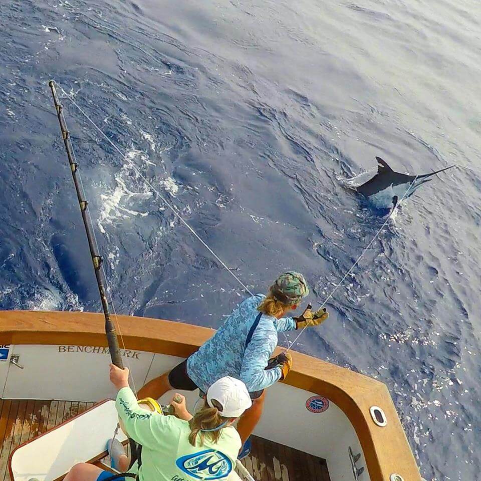 Kona fishing report august 2nd grander marlin charters